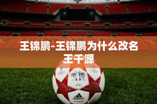 王錦鵬-王錦鵬為什么改名王千源